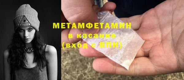индика Инта