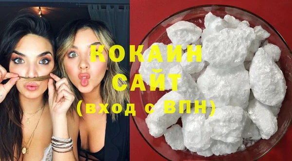 шишки Переславль-Залесский